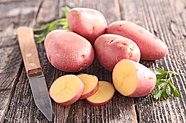 سجل فشل محصول البطاطس المسجل في منطقة الكاربات