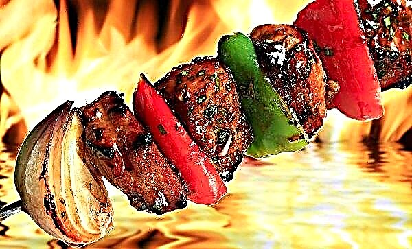 Rusům se doporučuje, aby si vybrali suché a lesklé nerostné suroviny kebabu