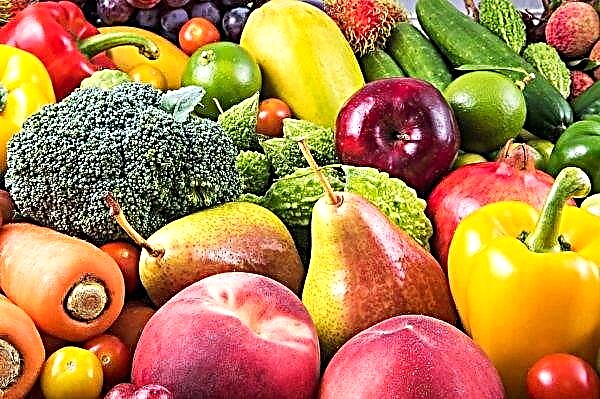 Ukrainos ekspertai tikisi, kad sumažės uogų, daržovių ir vaisių kainos