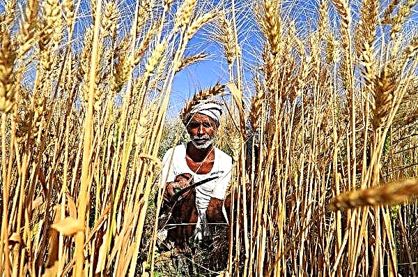 Vláda Indie vyvíja poľnohospodárstvo s umelým spravodajstvom