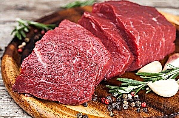 Nhật Bản hoan nghênh chấm dứt lệnh cấm nhập khẩu thịt bò sang Trung Quốc