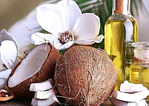 The American company began to use coconut oil in the production of chocolate
