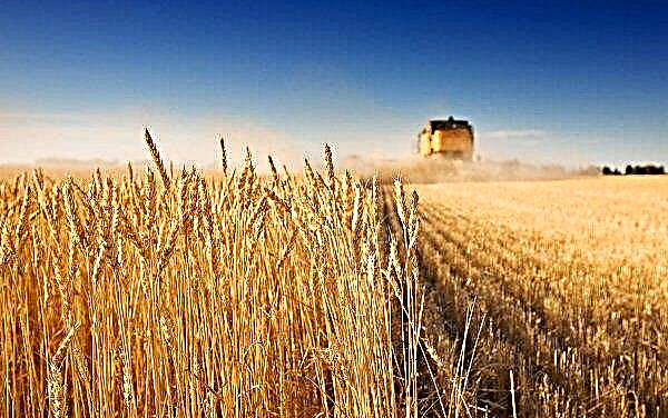 Канадските производители на зърно приветстват федералния бюджет