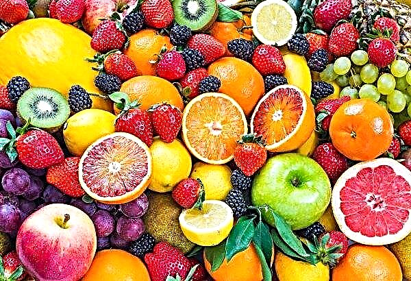 Coca-Cola Invests in Indian Fruit Processing