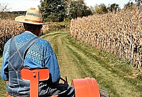 تبحث وزارة الزراعة الأمريكية عن طرق لمساعدة المزارعين