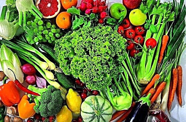 No se permitía la venta de 210 kg de verduras con nitratos en los mercados de la región de Khmelnitsky