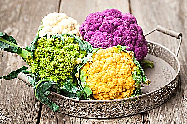 Iceland experienced a deficit of cauliflower
