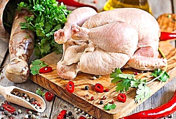 Ukrainian chicken meets the requirements of the European Union