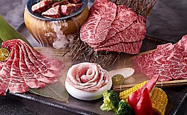 China is interested in large imports of Brazilian meat
