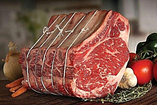L'UE si impegna a trattare per aumentare le importazioni di carne bovina negli Stati Uniti