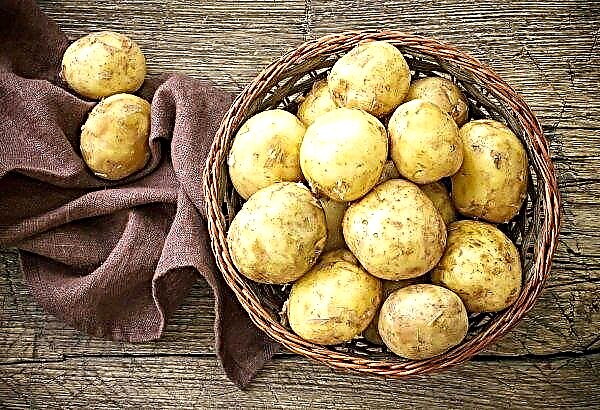 UK faced potato deficit