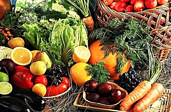 Les agriculteurs libanais popularisent les produits biologiques