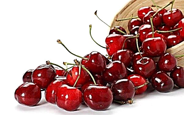 Mass hail reduced exports of cherries and blueberries