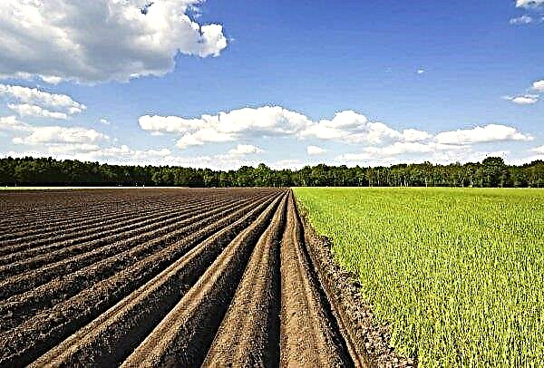 Bavaria already has 10 thousand organic farms