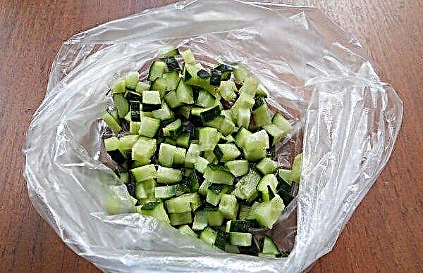 Hoe komkommers invriezen: is het mogelijk en hoe doe je het goed, houdbaarheid, wat kan er van bevroren komkommers worden bereid