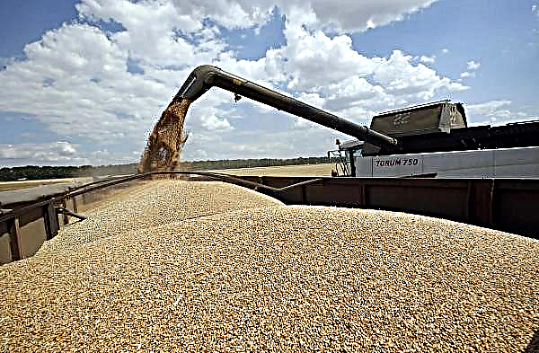 Kitajska zahteva zmanjšanje izvoza žita v Kanadi