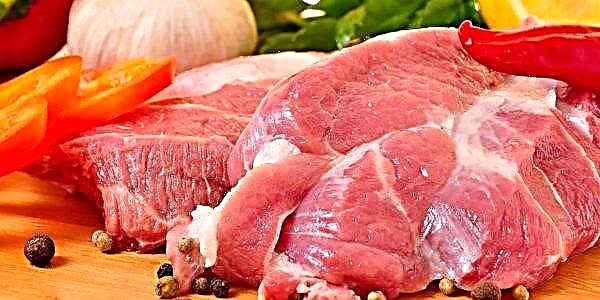 Rekordimporte von Schweinefleisch China signalisiert den Wunsch, den Handelskrieg zu beenden