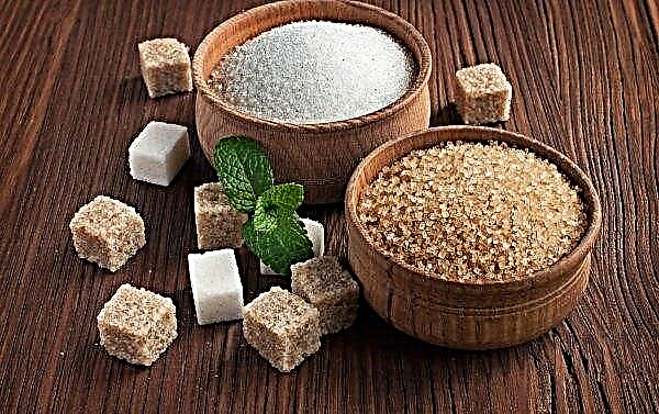 Los principales estados del mundo están interesados ​​en comprar azúcar orgánica ucraniana