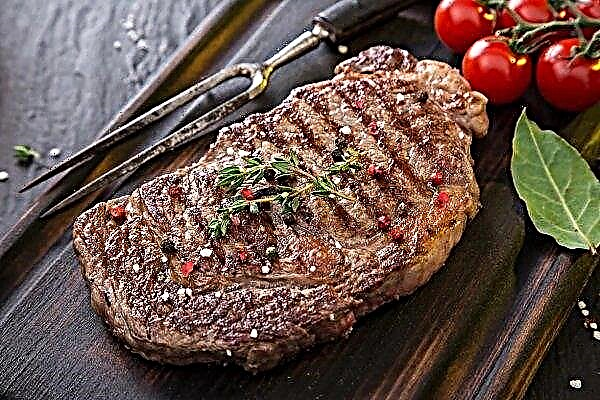 Nhật Bản dỡ bỏ giới hạn độ tuổi đối với nhập khẩu thịt bò Ailen