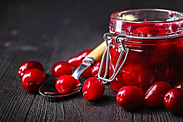 Bajo la apariencia de cornejo, los ucranianos venden tomates cherry
