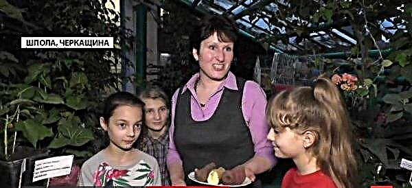 More than 300 species of exotic plants are cultivated by Cherkasy schoolchildren