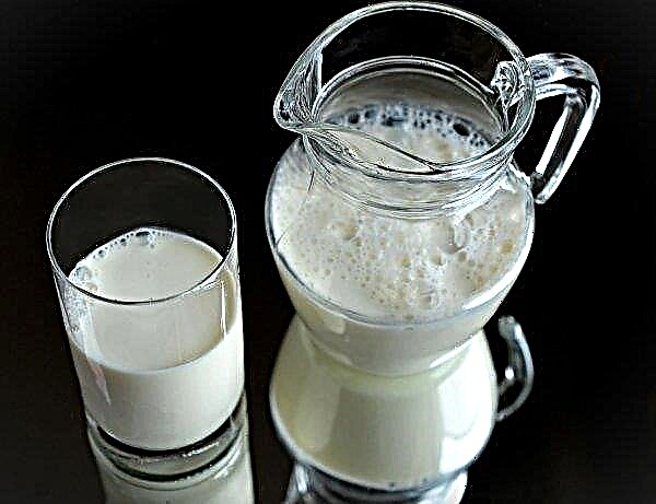 In 2019 is Rusland minder bereid om melk te 'delen'