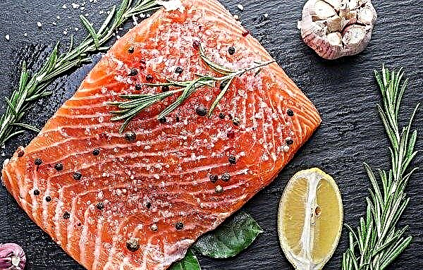 Cientistas russos pedem captura de 461 mil toneladas de salmão em 2019
