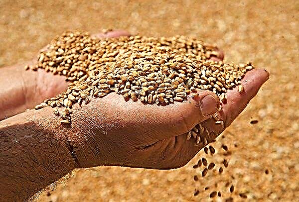 Ucraina poate crește exporturile de cereale în China