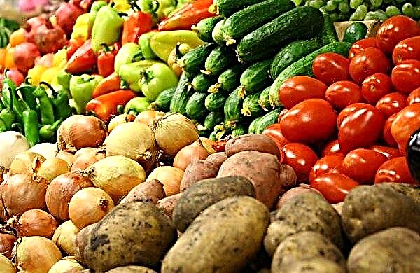 Crimea exceeded the plan for the export of agricultural goods