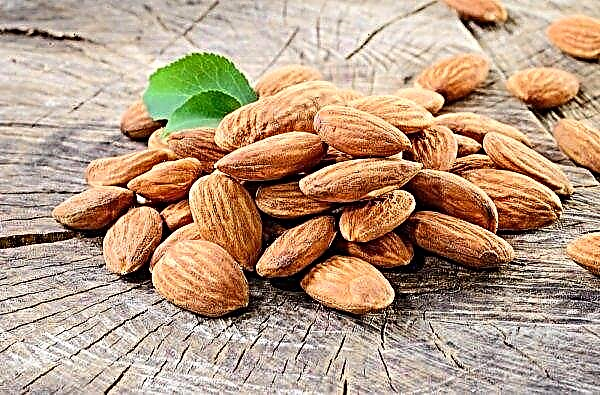 Low Yield Inflated US Almonds Prices