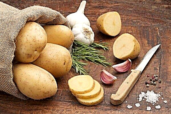 In de regio Zaporizhzhya werden aardappelzaailingen ingevroren