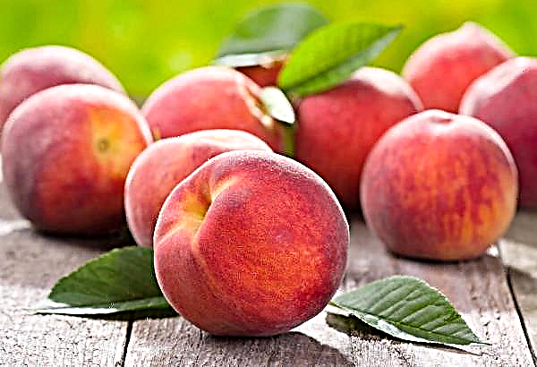 Chinese imports of canned peaches are on the rise