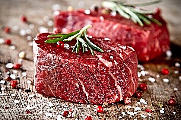Irish Beef Fund will be launched in the “very near future”