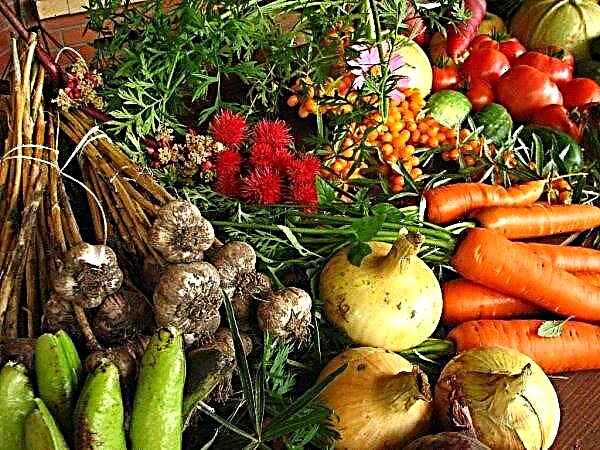 Les principaux risques de l'agriculture biologique en Ukraine sont nommés