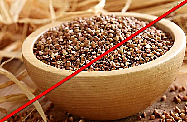 Buckwheat for weight loss: how to cook, what to eat, to lose weight and make it tasty, cooking options for a diet, recipes