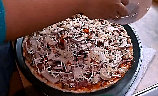 Pizza aux champignons avec champignons, saucisse et fromage: recettes simples pour cuisiner dans un four conventionnel