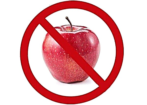 كم عدد التفاح الذي يمكنك تناوله يوميًا: تناوله يوميًا ، ماذا سيحدث إذا تناولت الكثير من التفاح