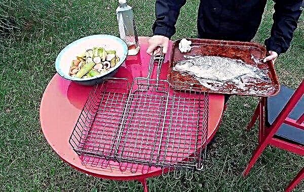 바베큐 도미 : 호일로 그릴에 생선을 요리하는 방법, 사진과 함께 단계별 조리법, 숯불 구이를 위해 도미를 담그는 방법, 튀김 양