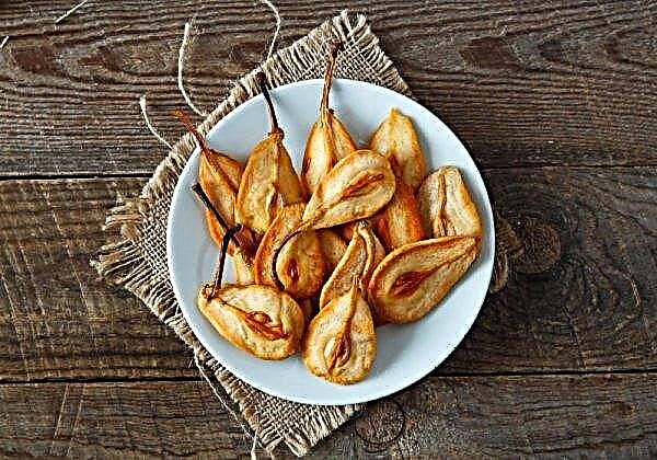 How to dry pears at home: the choice of variety, types of drying, the benefits and harms of dried pears