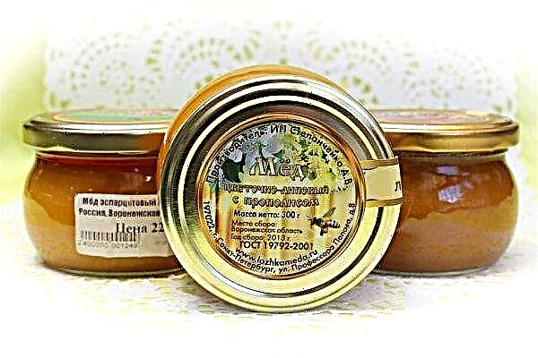 프로 폴리스가있는 꿀 : 설명 및 준비, 유용한 특성 및 금기 사항, 가능한 피해, 사진