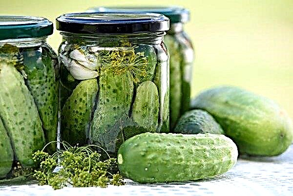 Zoetzure komkommers voor de winter: de beste recepten met stapsgewijs koken, video
