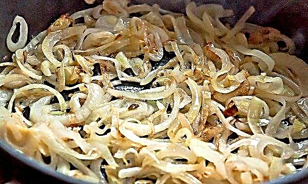 Fried onions: calories, composition, nutritional value