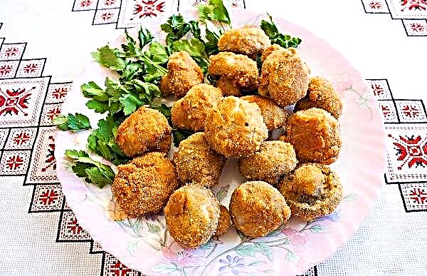 Mushrooms fried in batter and whole breadcrumbs: a simple step-by-step recipe for cooking with a photo