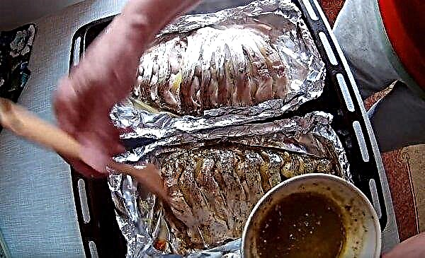 Im Ofen gebackene Brasse: Wie man ganz kocht, damit keine Knochen gefühlt werden, Schritt-für-Schritt-Rezepte mit Fotos, wie man einen Fischkuchen köstlich backt