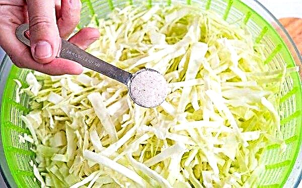 Is it possible to salt cabbage with iodized salt, how it affects and which is better to choose
