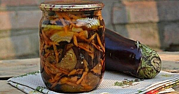 Pickled eggplant without sterilization for the winter: the best recipes, step-by-step cooking, photo