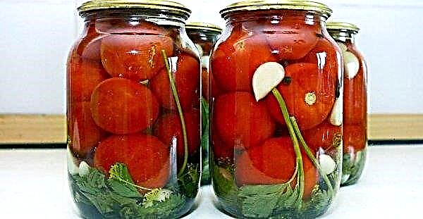 Tomates rosados ​​para el invierno: las mejores recetas para tomates enlatados y en escabeche, cocina paso a paso, foto