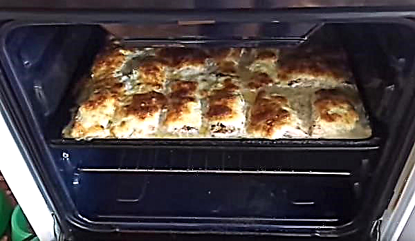 Gebackener Lachsfisch im Ofen mit Mayonnaise: Schritt für Schritt Rezepte mit Fotos, wie man mit Zwiebeln, Mayonnaise und Käse kocht