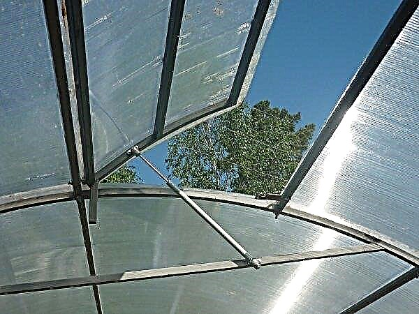 How and where to properly install a polycarbonate greenhouse on a site: choosing a place, installing and fixing, photo, video