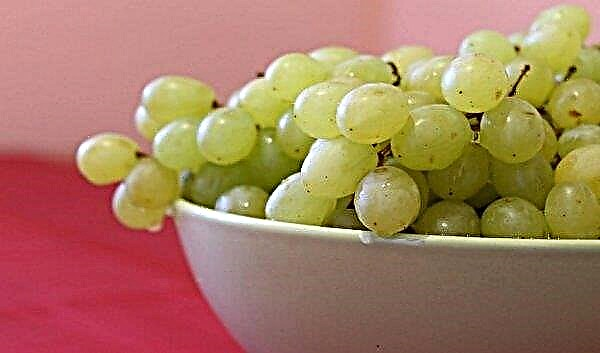 Is it possible for diabetics to grape: benefit and harm, consumption rate